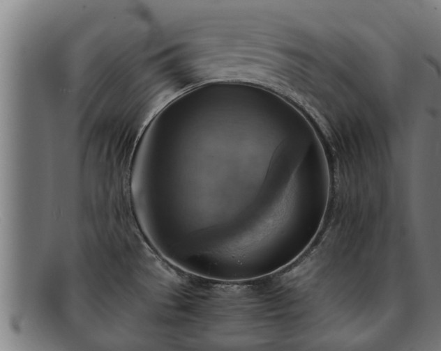 X0000091861529200709121320