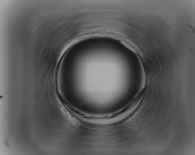 X0000091861530200709121320