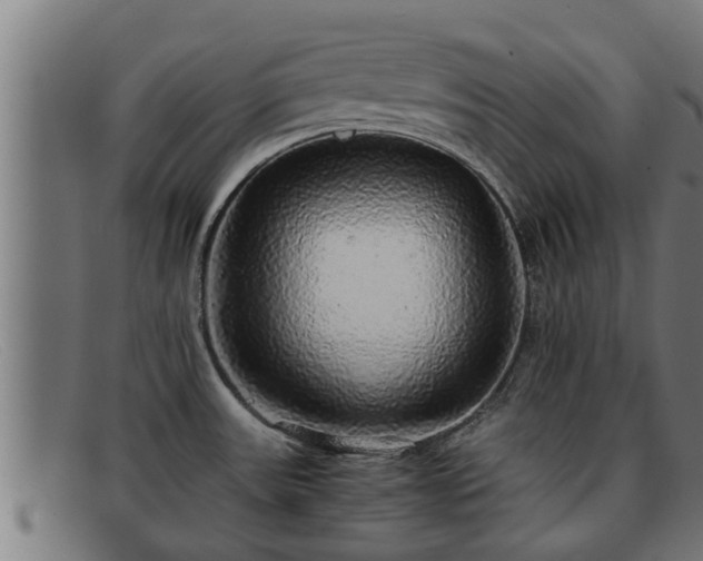 X0000091861531200709121320