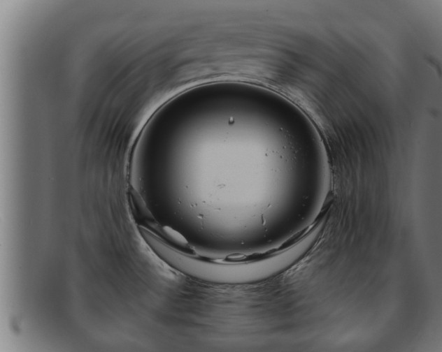 X0000091861532200709121320