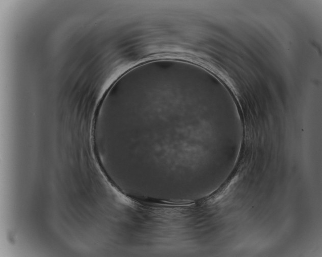 X0000091861533200709121320