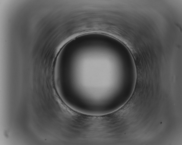 X0000091861534200709121320