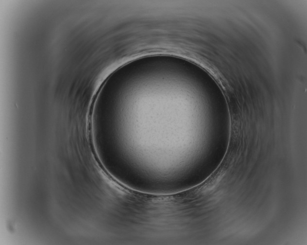 X0000091861535200709121320