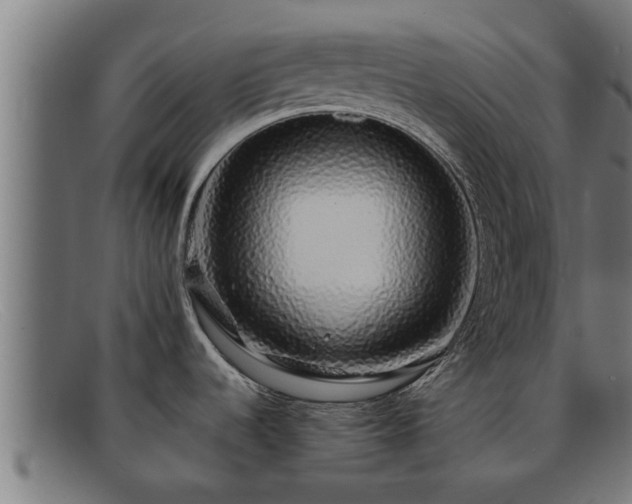 X0000091861536200709121320