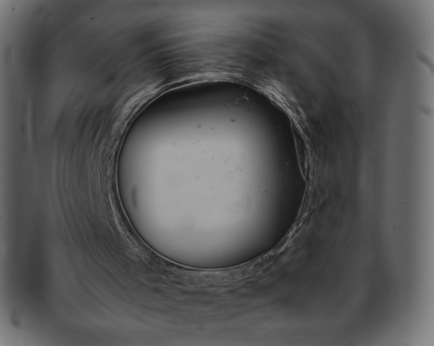 X0000091860001200709191125