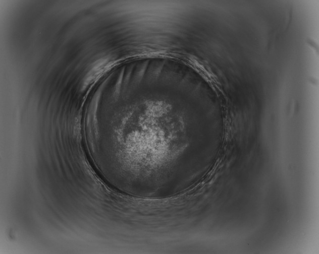 X0000091860002200709191125