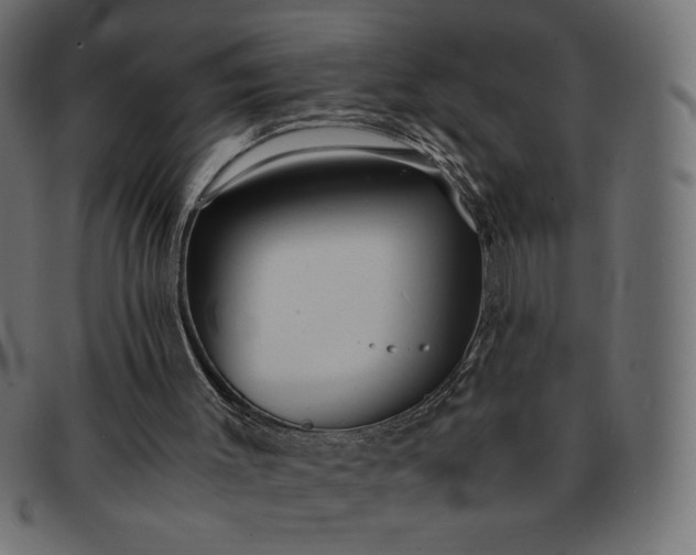 X0000091860003200709191125