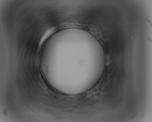 X0000091860004200709191125