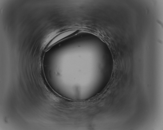 X0000091860005200709191125