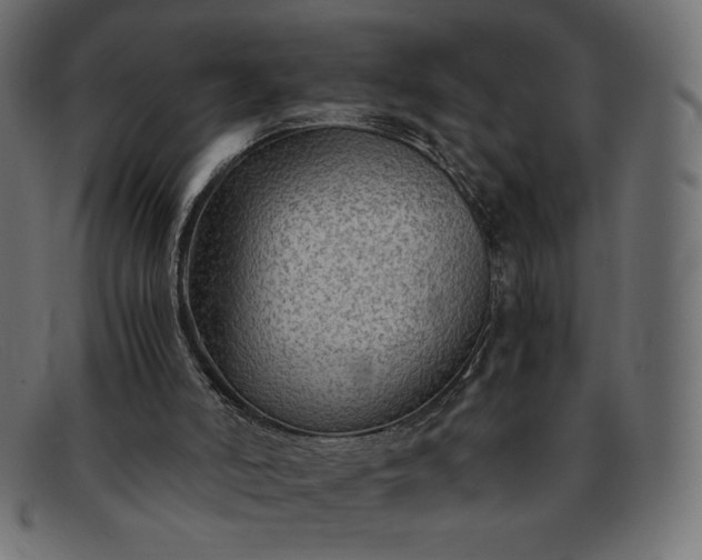 X0000091860006200709191125