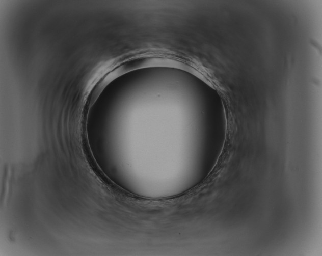 X0000091860007200709191125