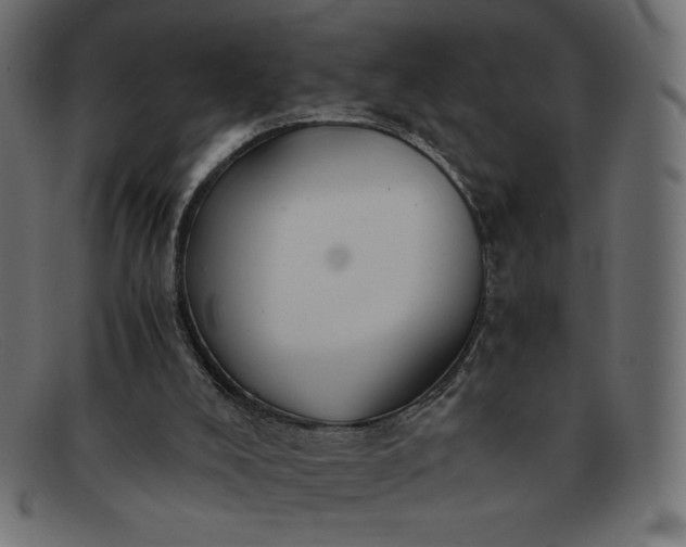 X0000091860008200709191125