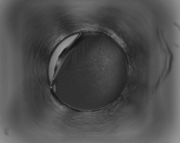 X0000091860009200709191125