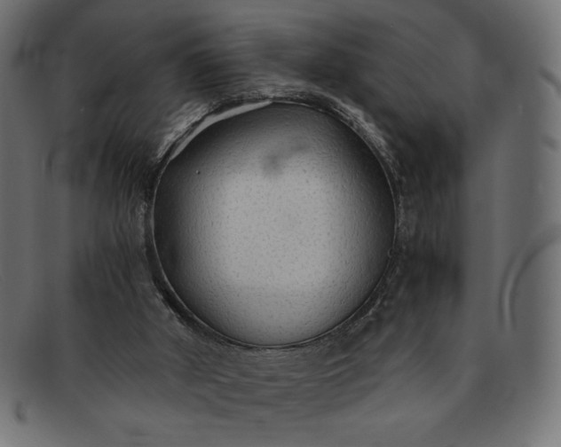 X0000091860010200709191125