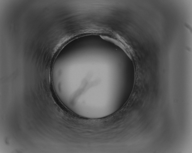 X0000091860011200709191125