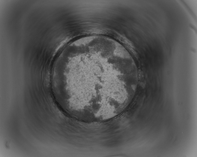 X0000091860012200709191125