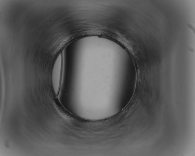 X0000091860013200709191125