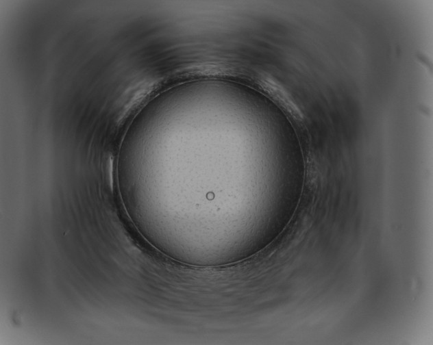 X0000091860014200709191125