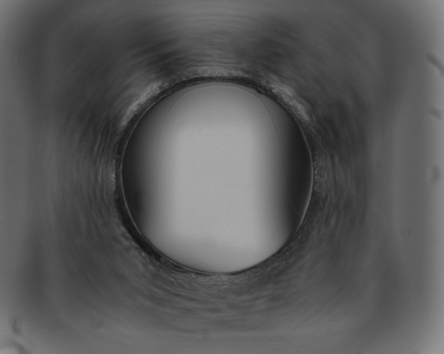 X0000091860015200709191125