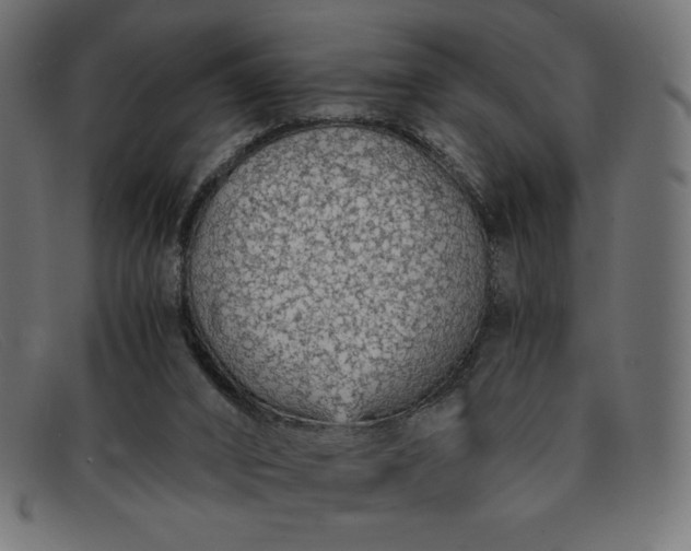 X0000091860016200709191125