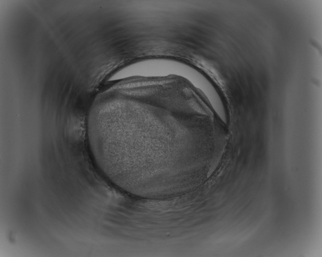 X0000091860017200709191125