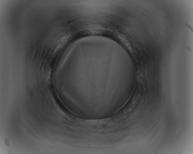 X0000091860018200709191125