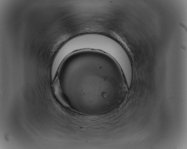 X0000091860019200709191125