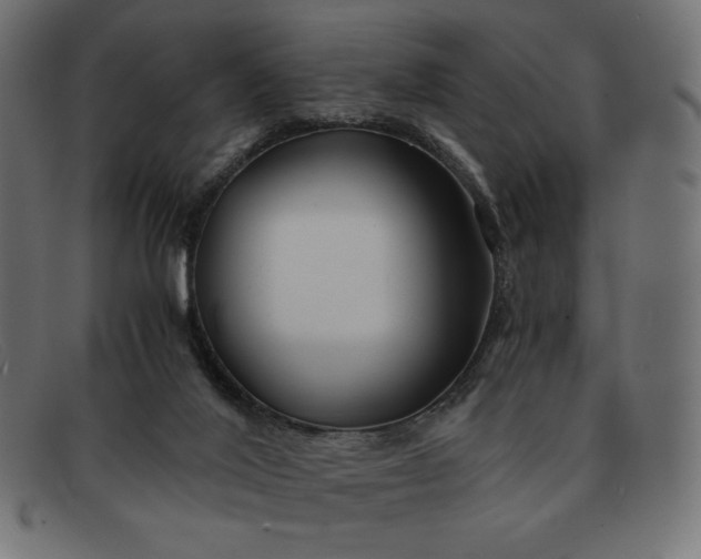 X0000091860020200709191125