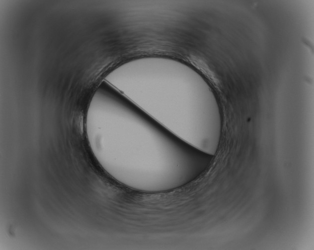 X0000091860021200709191125