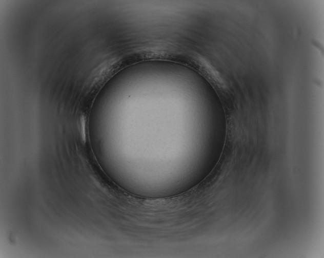 X0000091860022200709191125