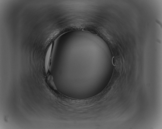 X0000091860023200709191125