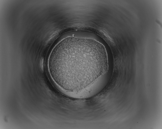 X0000091860024200709191125