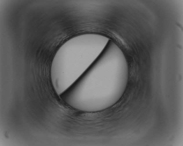 X0000091860025200709191125