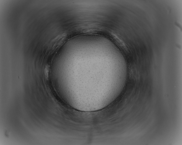 X0000091860026200709191125