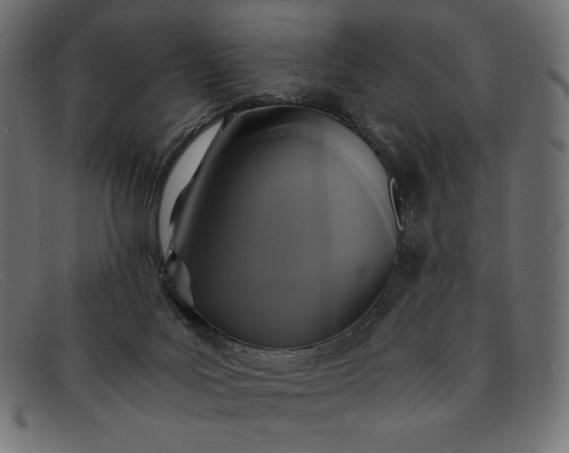 X0000091860027200709191125