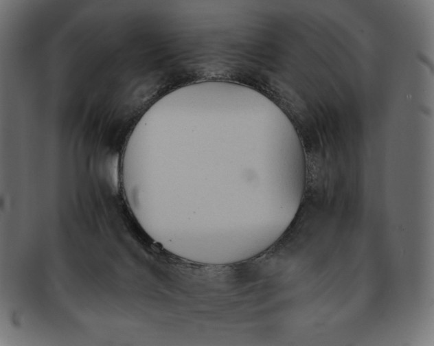 X0000091860028200709191125