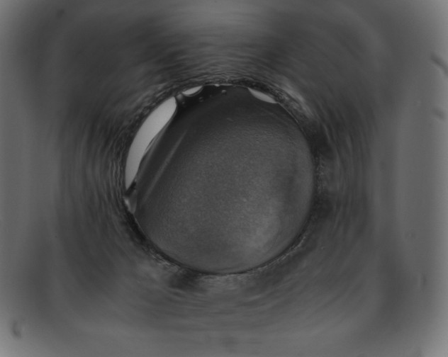 X0000091860029200709191125