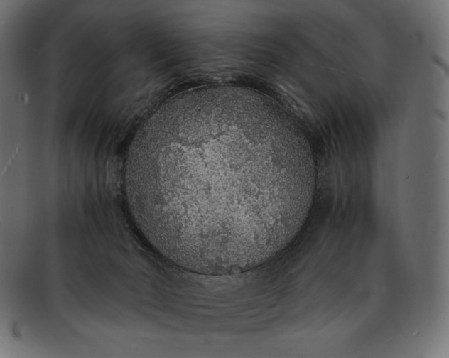 X0000091860030200709191125