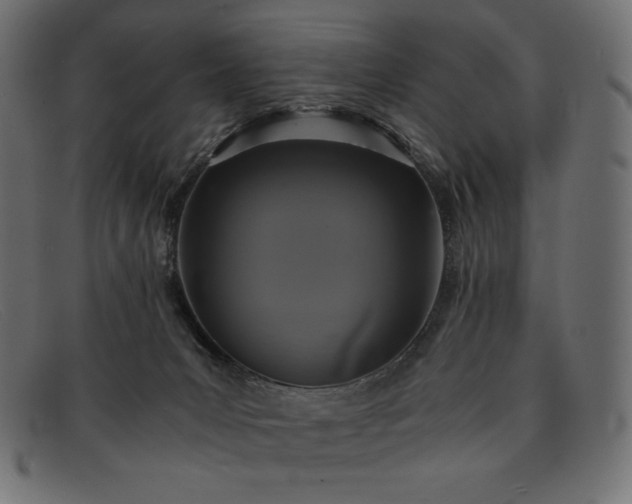 X0000091860031200709191125