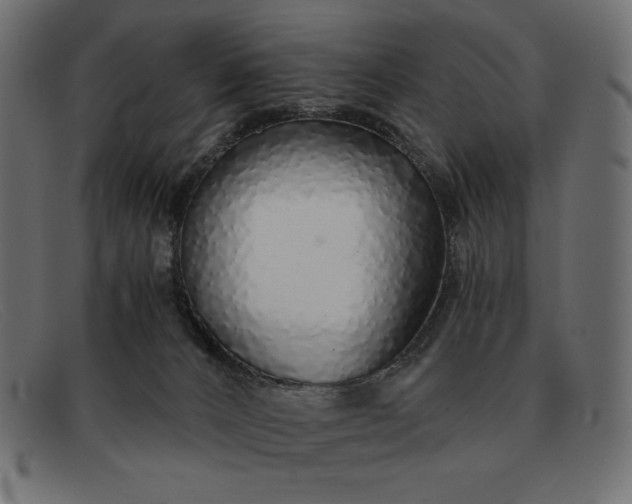 X0000091860032200709191125