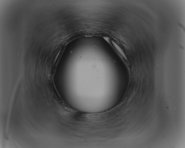 X0000091860033200709191125