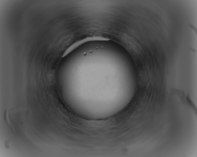 X0000091860034200709191125