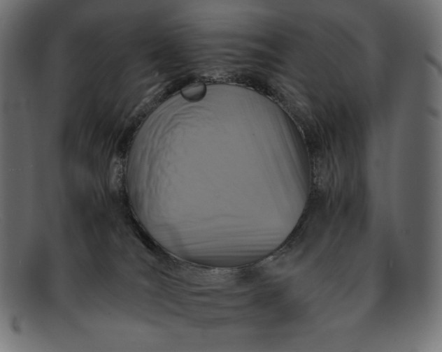 X0000091860036200709191125