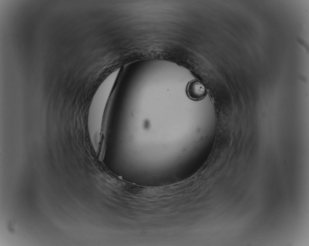 X0000091860037200709191125