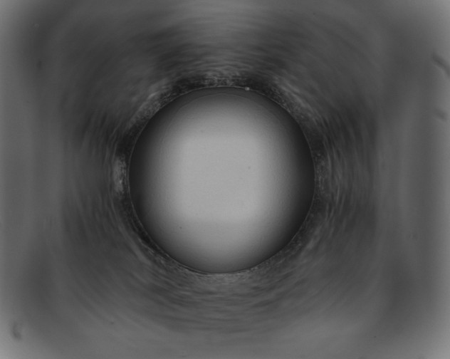 X0000091860038200709191125