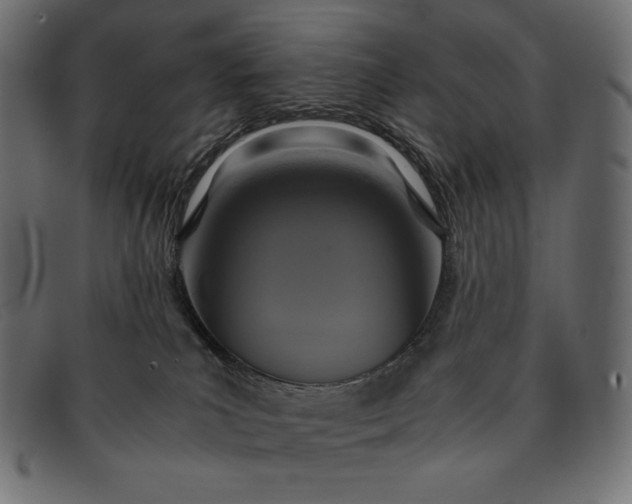 X0000091860039200709191125