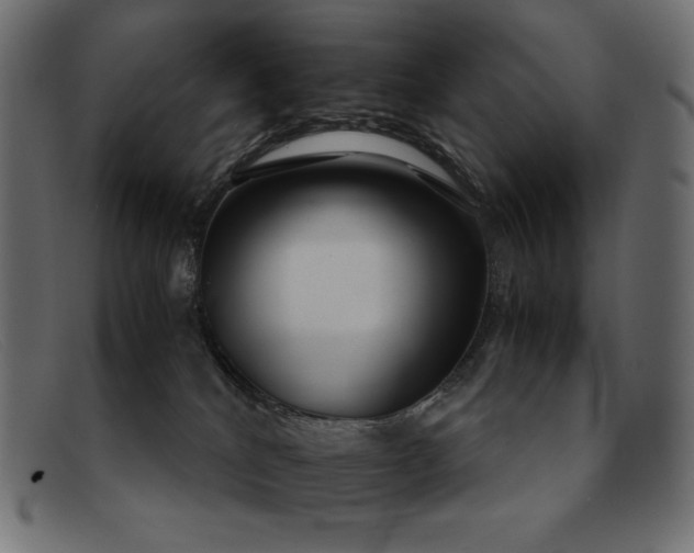 X0000091860040200709191125