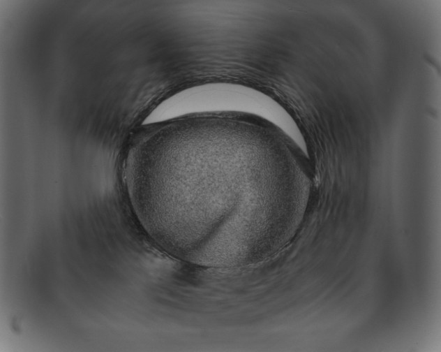 X0000091860041200709191125