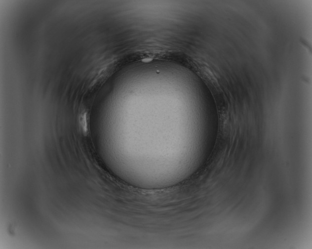 X0000091860042200709191125