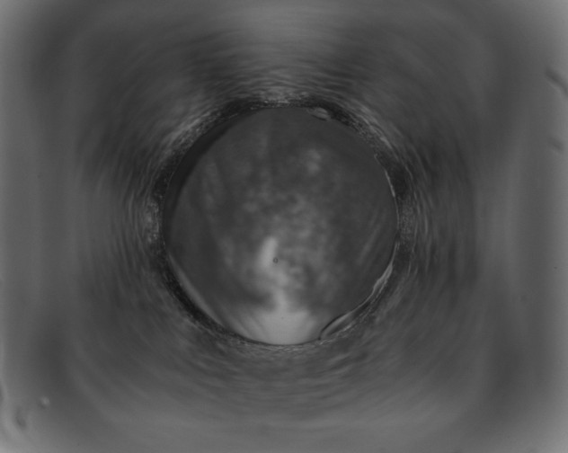 X0000091860043200709191125